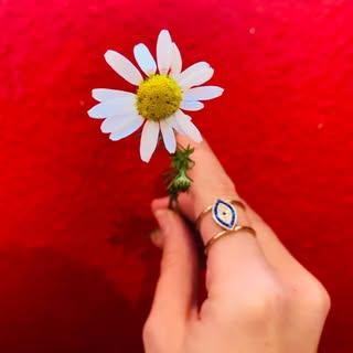 Célia Artemis  💫