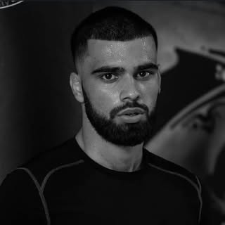 The Punjabi Lion