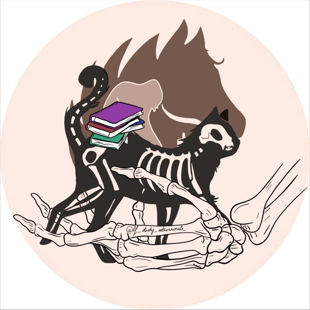 Leinina — Studygram Ostéopathie Animale🐈‍⬛🐾🦴